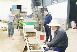 安慶日報(bào)推廣工廠化育秧軟件 助力農(nóng)業(yè)現(xiàn)代化轉(zhuǎn)型